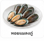 หอยแมลงภู่
