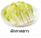 ผักกาดขาว